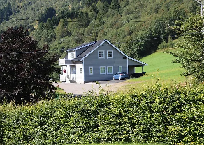 Viken