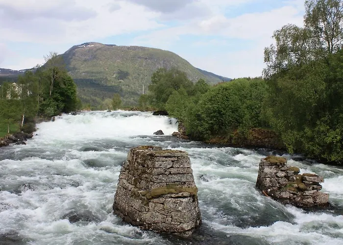 Viken